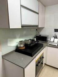 Parc Emily (D9), Condominium #489582121